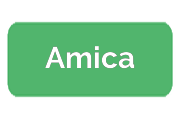 Ремонт кофемашин Amica