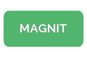 Ремонт парогенераторов MAGNIT
