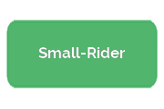 Ремонт электросамокатов Small-Rider