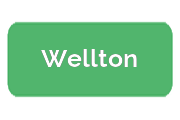 Ремонт холодильников Wellton
